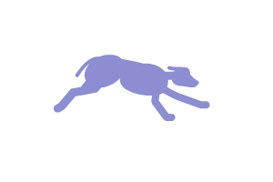 doghouse preloader motion graphic