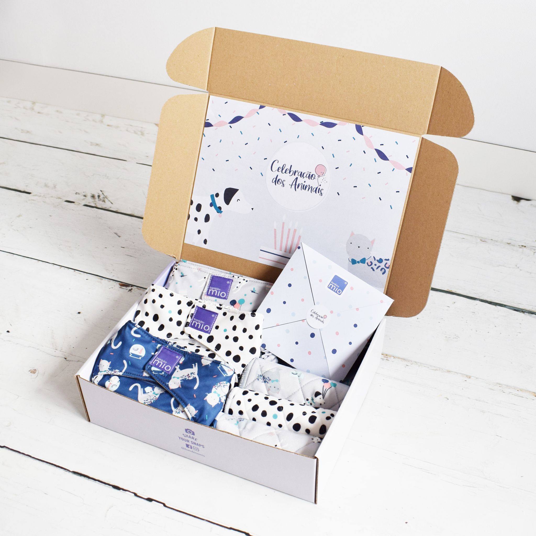 Pet party influencer box Pet party influencer box