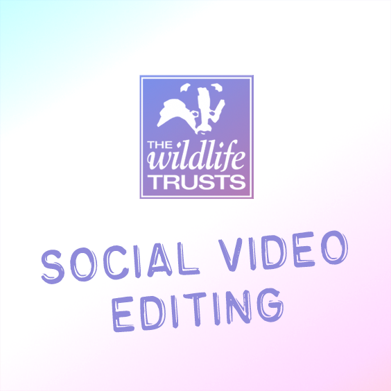 wildlife trust social video edit featured image