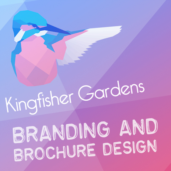 kingfisher branding and brocure design