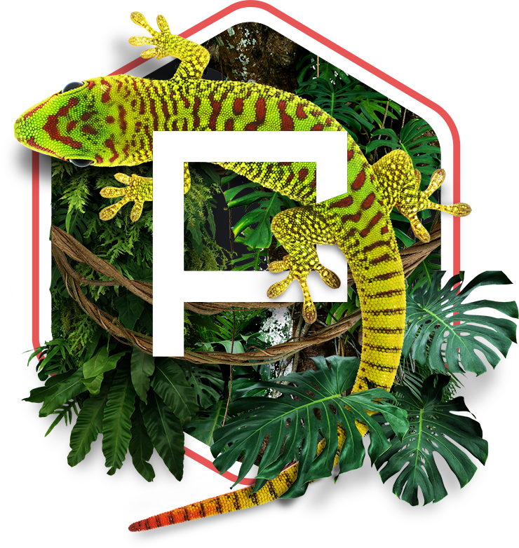 posh gecko logo